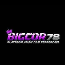 bigcor78 APK Fishing